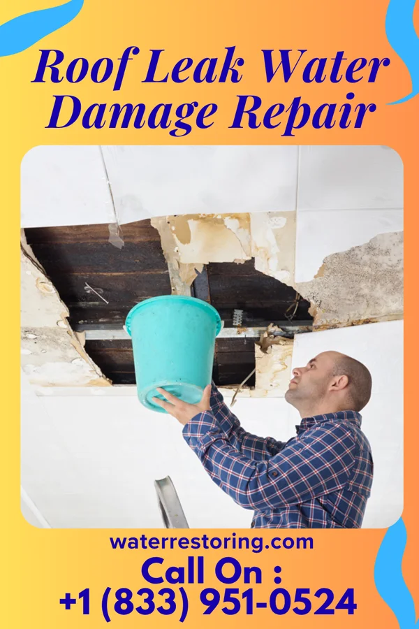 Roof Leak Water Damage Repair in Bertram, TX